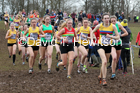 Womens under-20s, 2020 British Athletics Inter Counties Cross Country Champs., Prestwold Hall, Loughborough. Photo: David T. Hewitson/Sports for All Pics